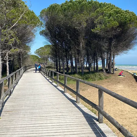 Bright Flat Next To The * Bibione