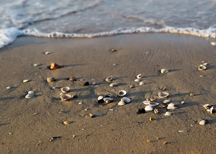 Daire Bright Flat Next To The *